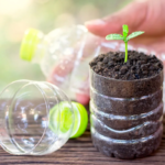 Programa Eco-Canje: se entregan plantas a cambio de botellas de plástico en San Clemente